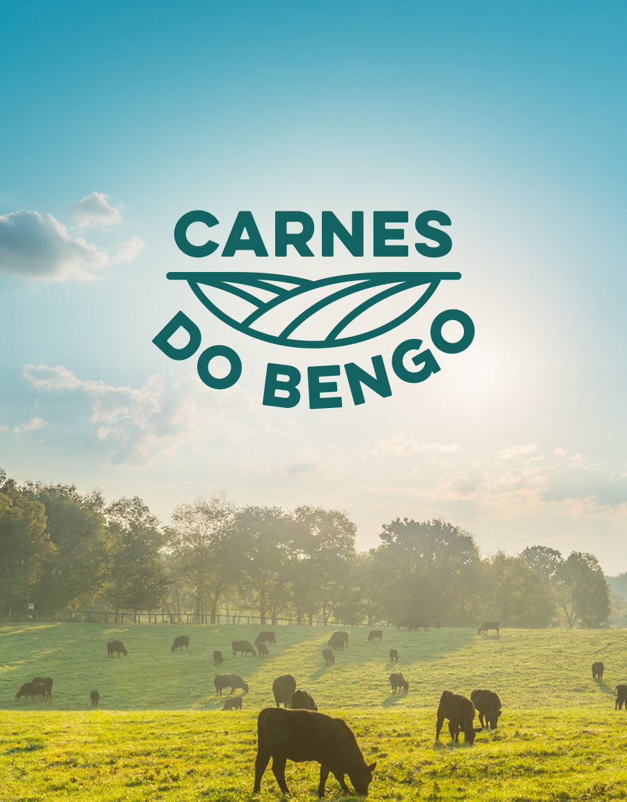 Carnes do Bengo — capa do projeto