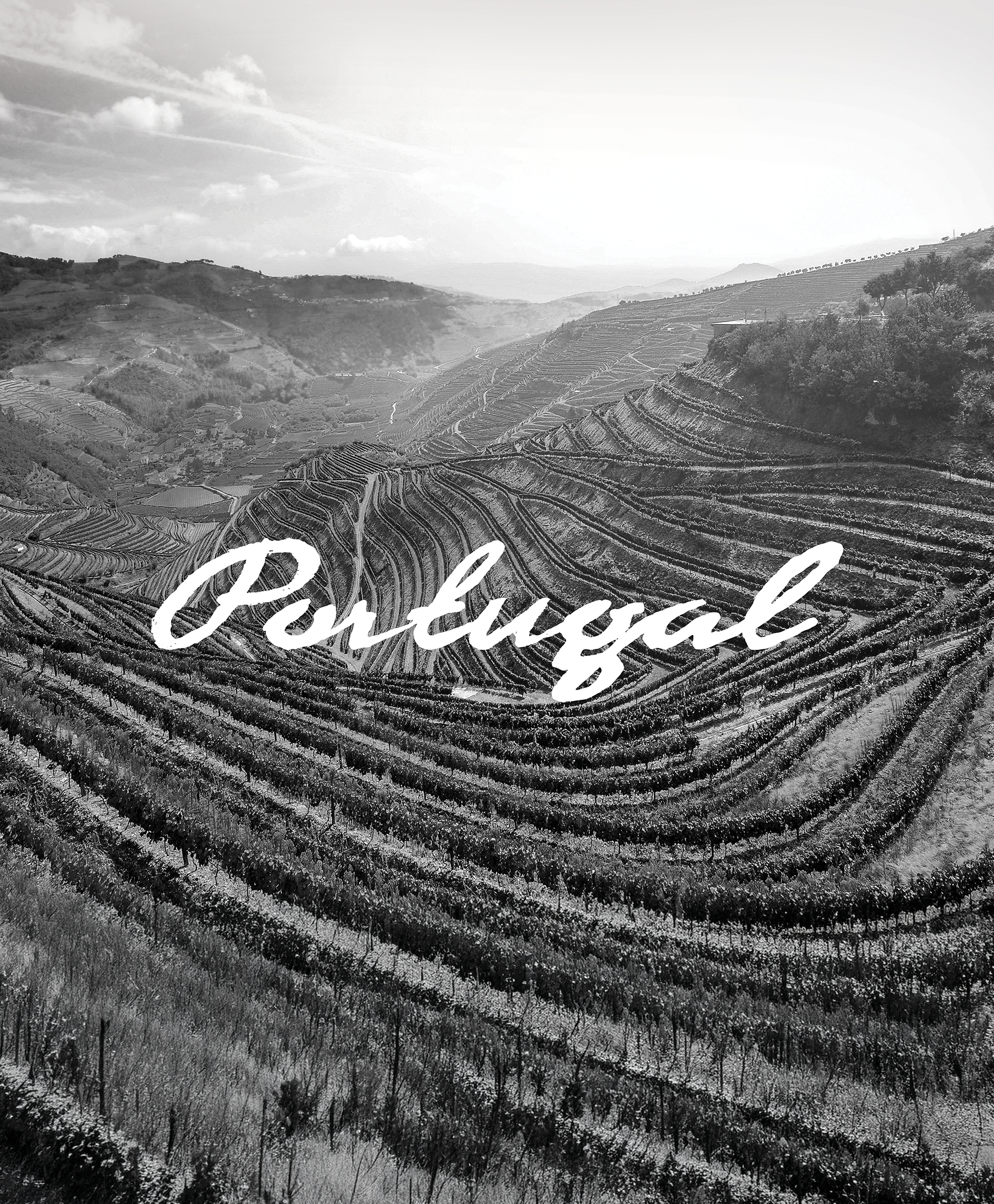 Brochura de Vinhos Importados — capa do projeto