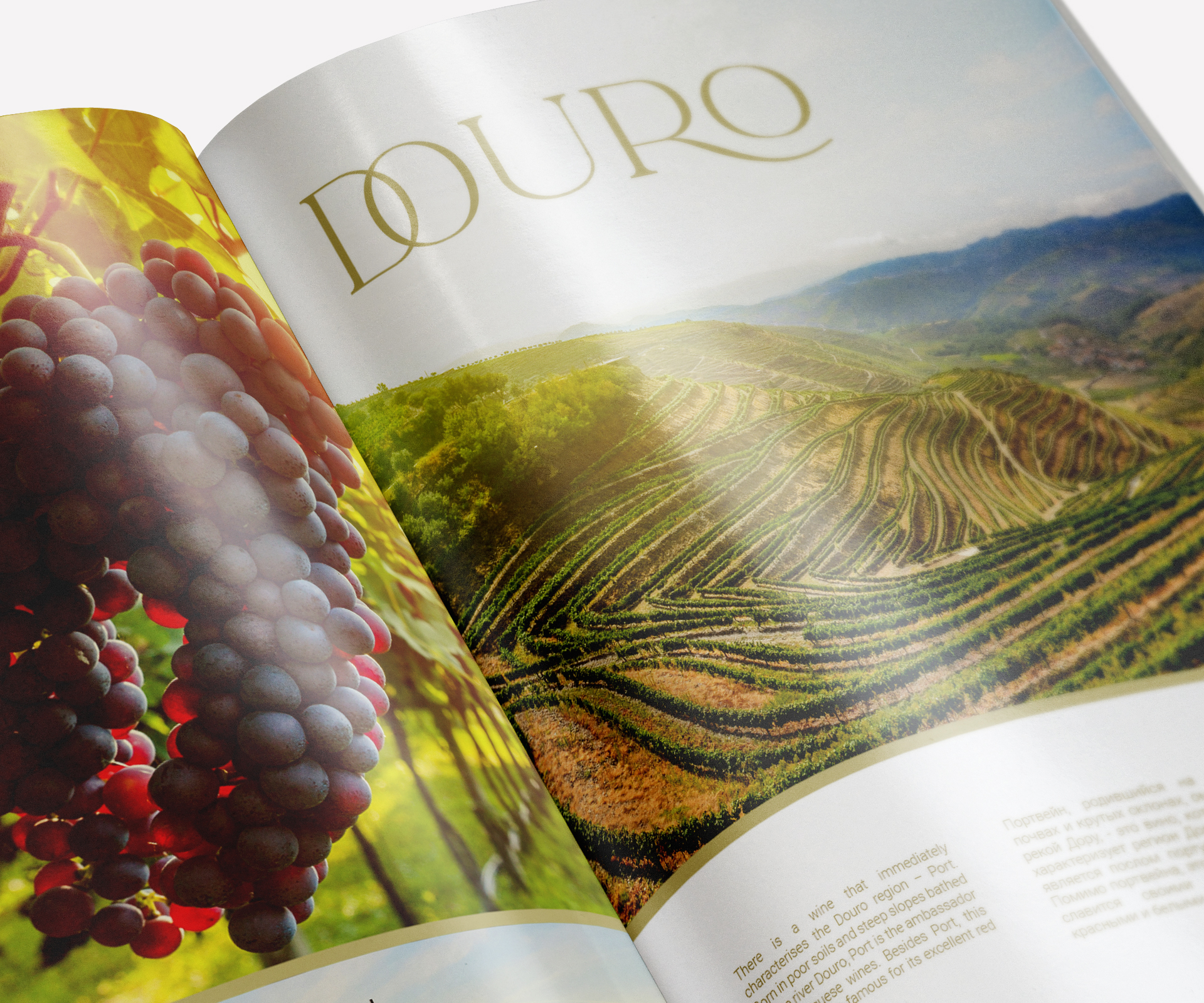 Import Wine