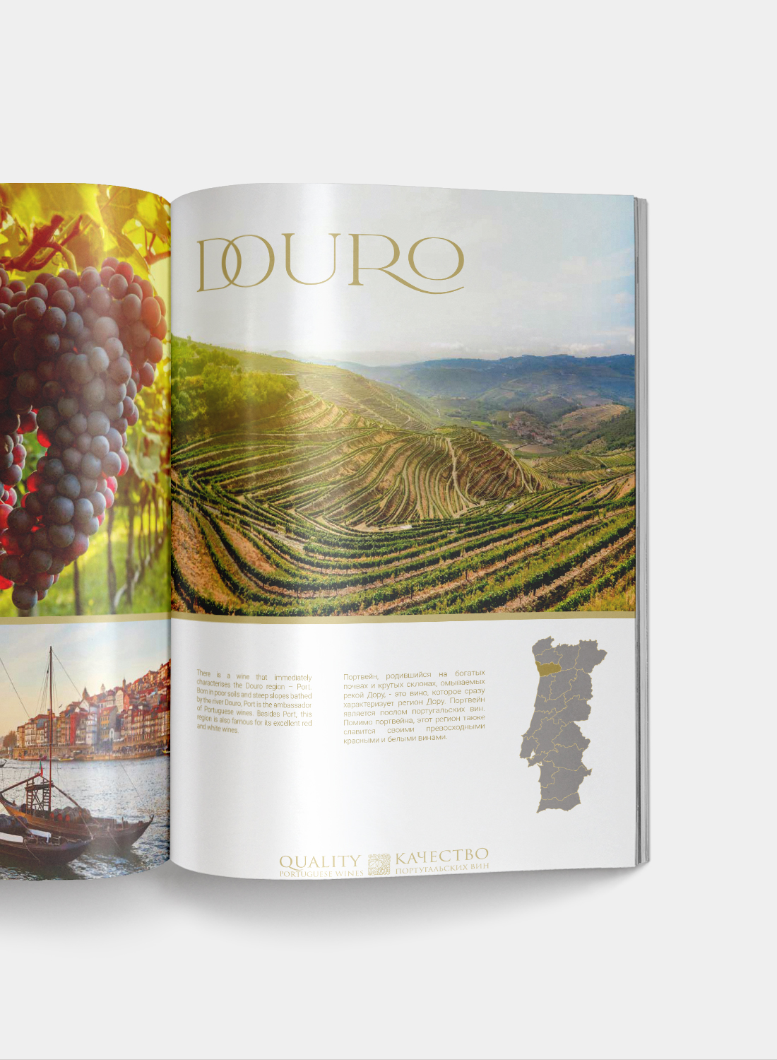 Brochura de Vinhos Importados — imagem 3