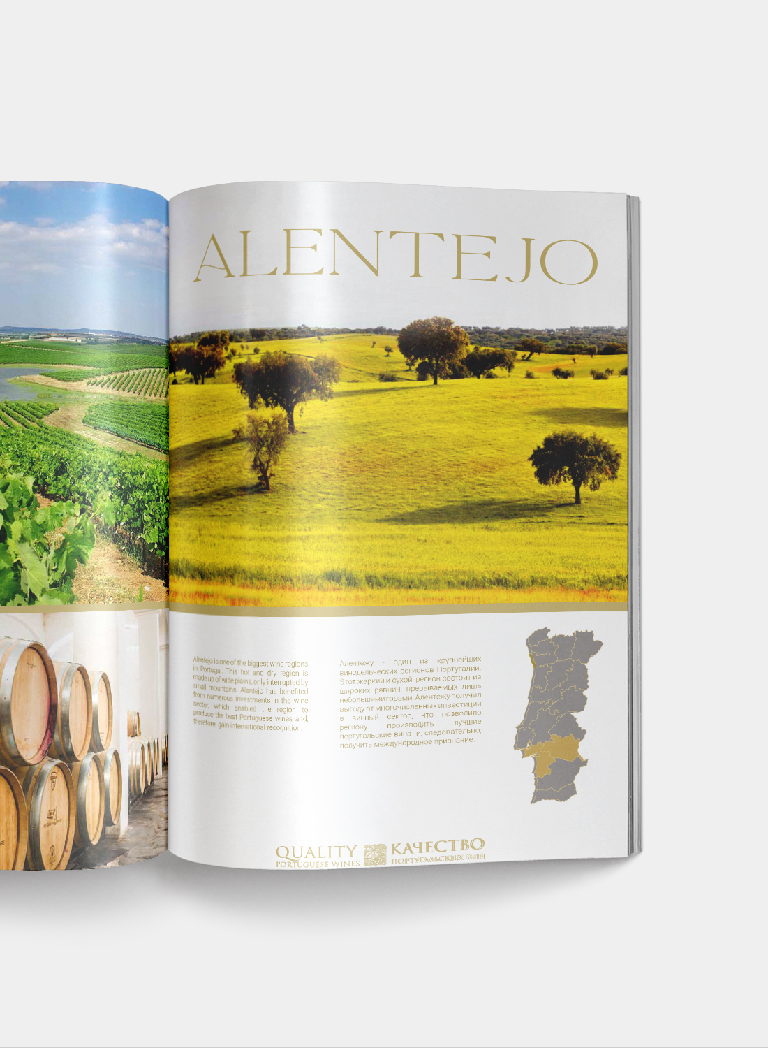 Brochura de Vinhos Importados — imagem 4